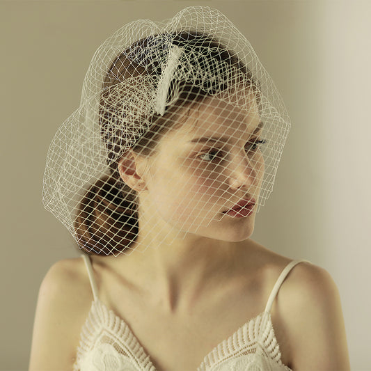 Birdcage Short Veil